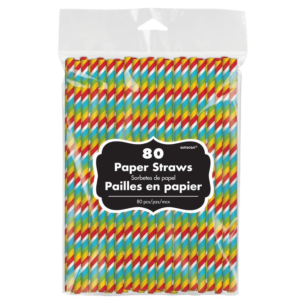 Multi Colored Hicount Paper Straws 80pcs