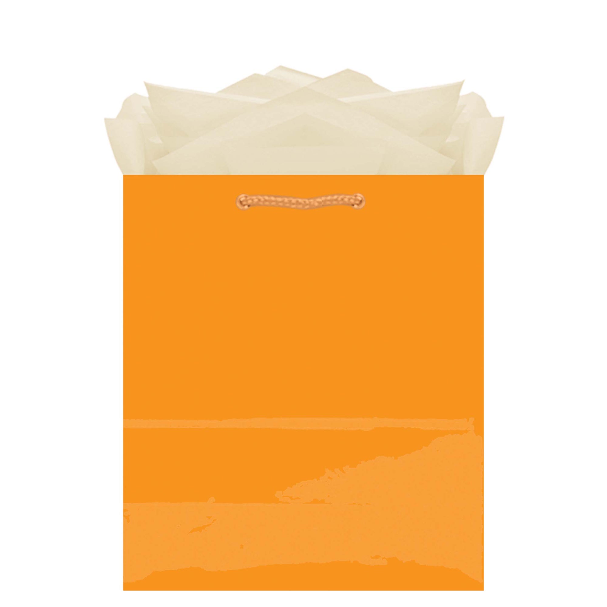 Orange Peel Medium Glossy Bag