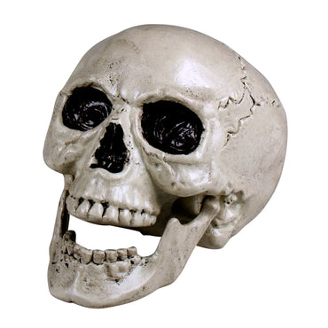 Maxilla Skull with Movable Jaw Decoration
