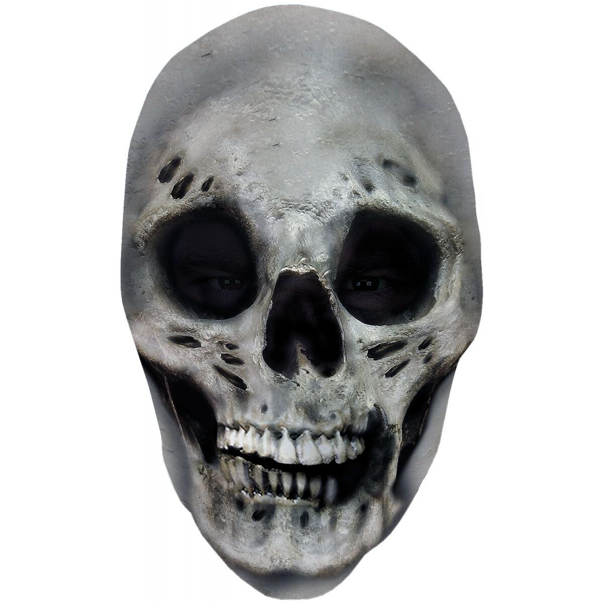 Adult Skull Nylon Full Mask Costumes & Apparel - Party Centre