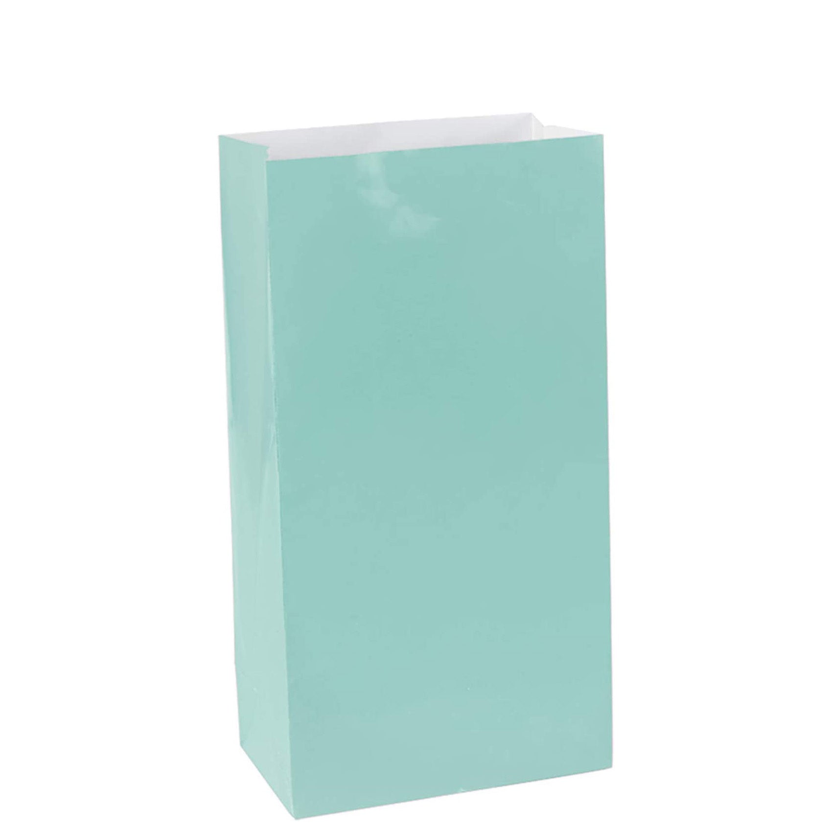Robins Egg Blue Mini Package Paper Bags 6inches, 12pcs