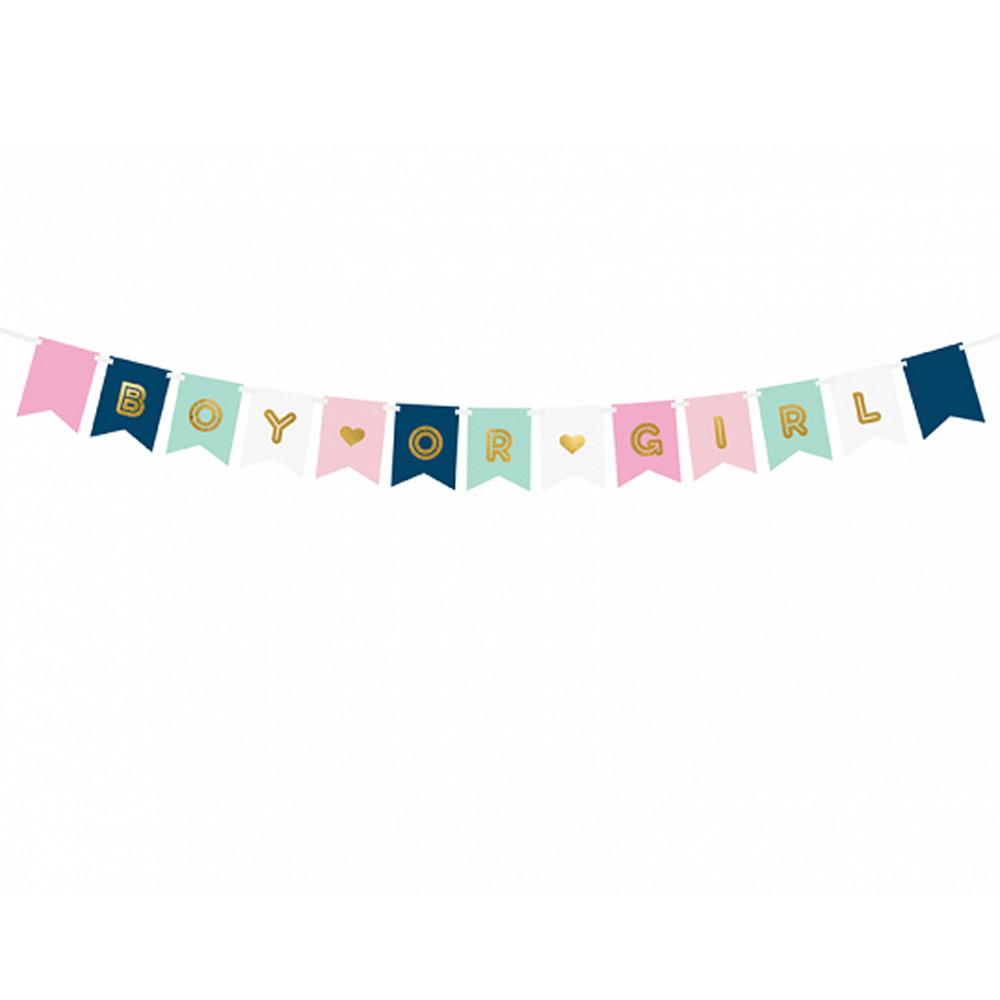 Boy or Girl Mix Banner 15x175cm Decorations - Party Centre