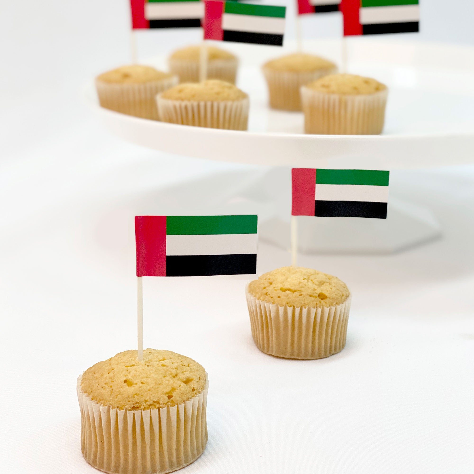 UAE Flag Picks Plastic & Paper 30pcs