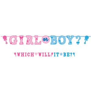 Girl Or Boy? Letter Banners 2pcs Decorations - Party Centre