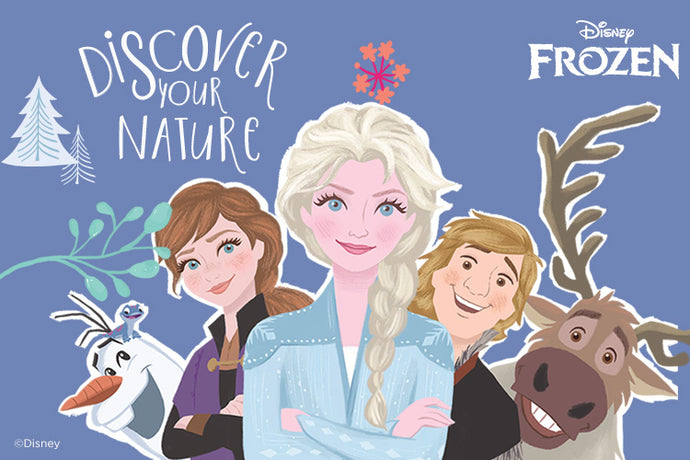 6 Cool DIY Disney Frozen II Theme Party Essentials