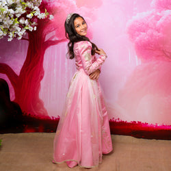 Disney Golden Princess Aurora Prestige Dress Up Costume