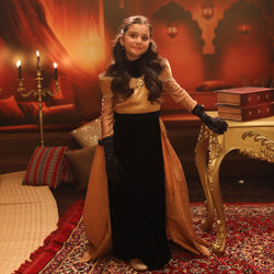 Disney Golden Princess Belle Prestige Dress Up Costume