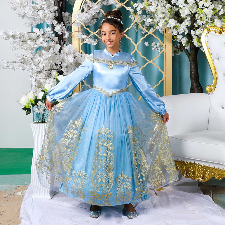 High-end Blue Embroidery Queen Marie Antoinette Ball Gown Medieval  Renaissance Historical Reenactment Theatre Cinderella Dress