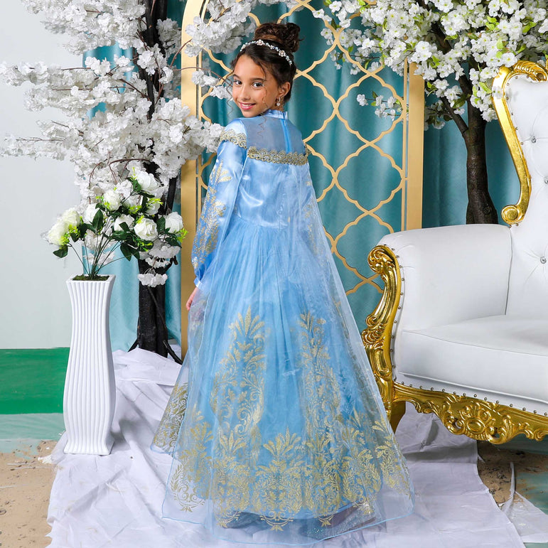 Shop Official Disney Golden Princess Cinderella Prestige Dress Up