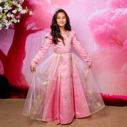 Disney Golden Princess Aurora Prestige Dress Up Costume