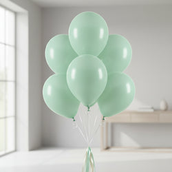 Honey Dew Macaron Standard Latex Balloons 12in 50pcs