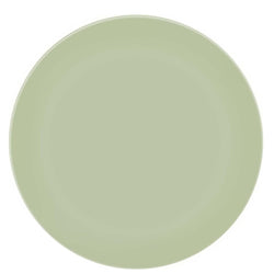 Mint Pastel Reusable Party Plastic Plates 9in 2pcs