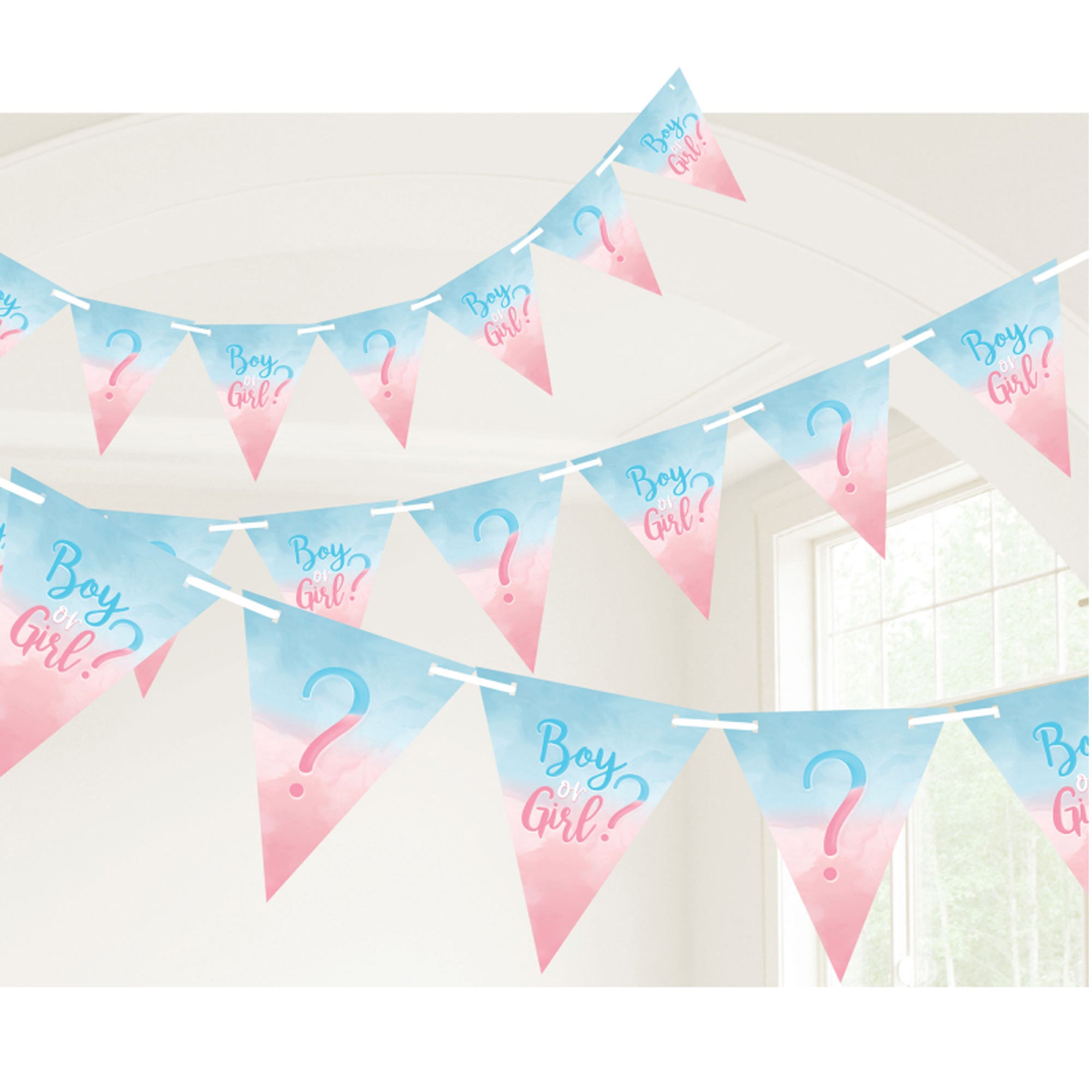 The Big Reveal Pennant Banner Paper & Ribbon 15Ft