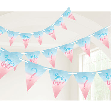 The Big Reveal Pennant Banner Paper & Ribbon 15Ft