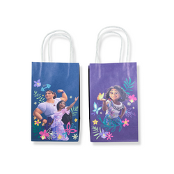 Encanto Create Your Own Bags with Add-Ons