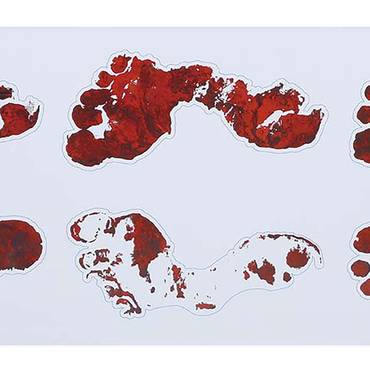 Bloody Footprints 2 Labels Adhesive Decoration 25X70cm