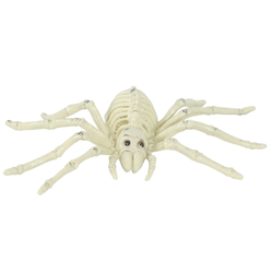 Spider Skeleton Decoration 24cm