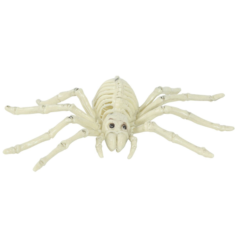 Spider Skeleton Decoration 24cm