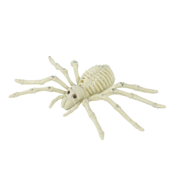 Spider Skeleton Decoration 24cm