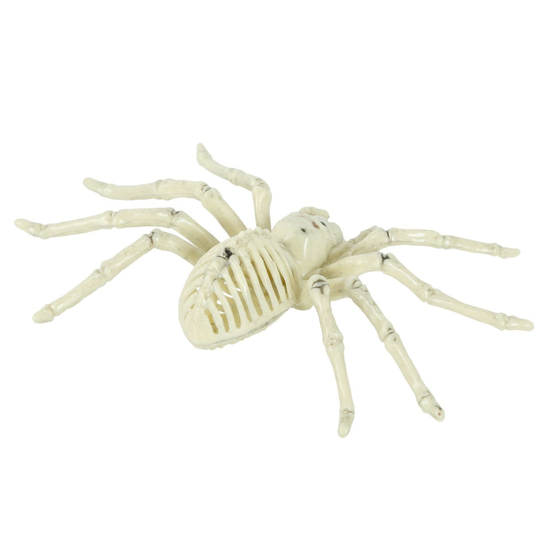 Spider Skeleton Decoration 24cm