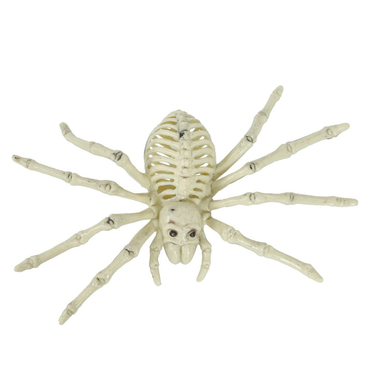 Spider Skeleton Decoration 24cm