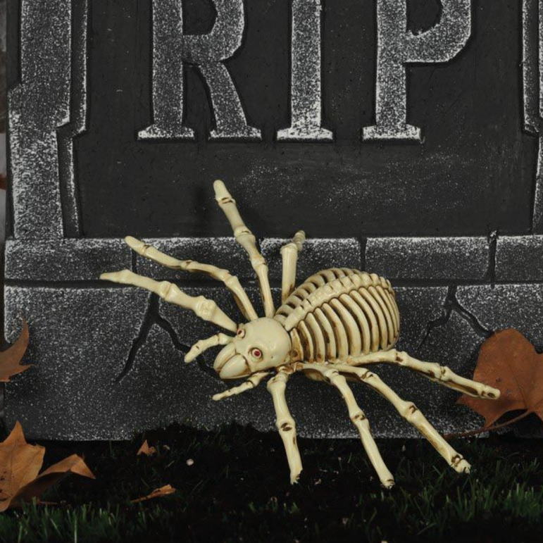 Spider Skeleton Decoration 24cm