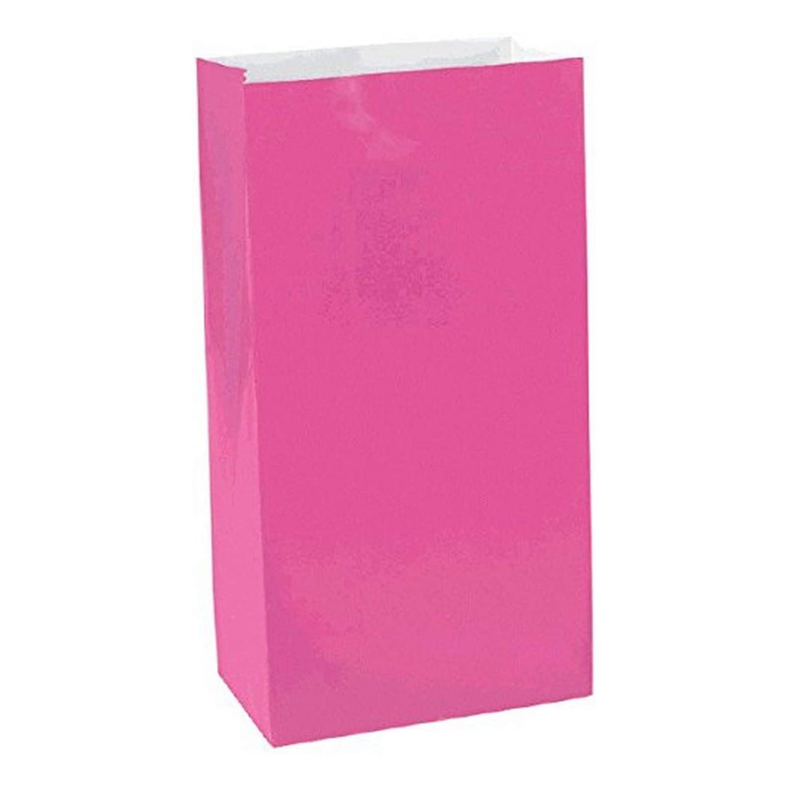 Bright Pink Mini Package Paper Bags 6in, 12pcs