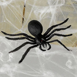 Big Spider And Web Favor 6.5in