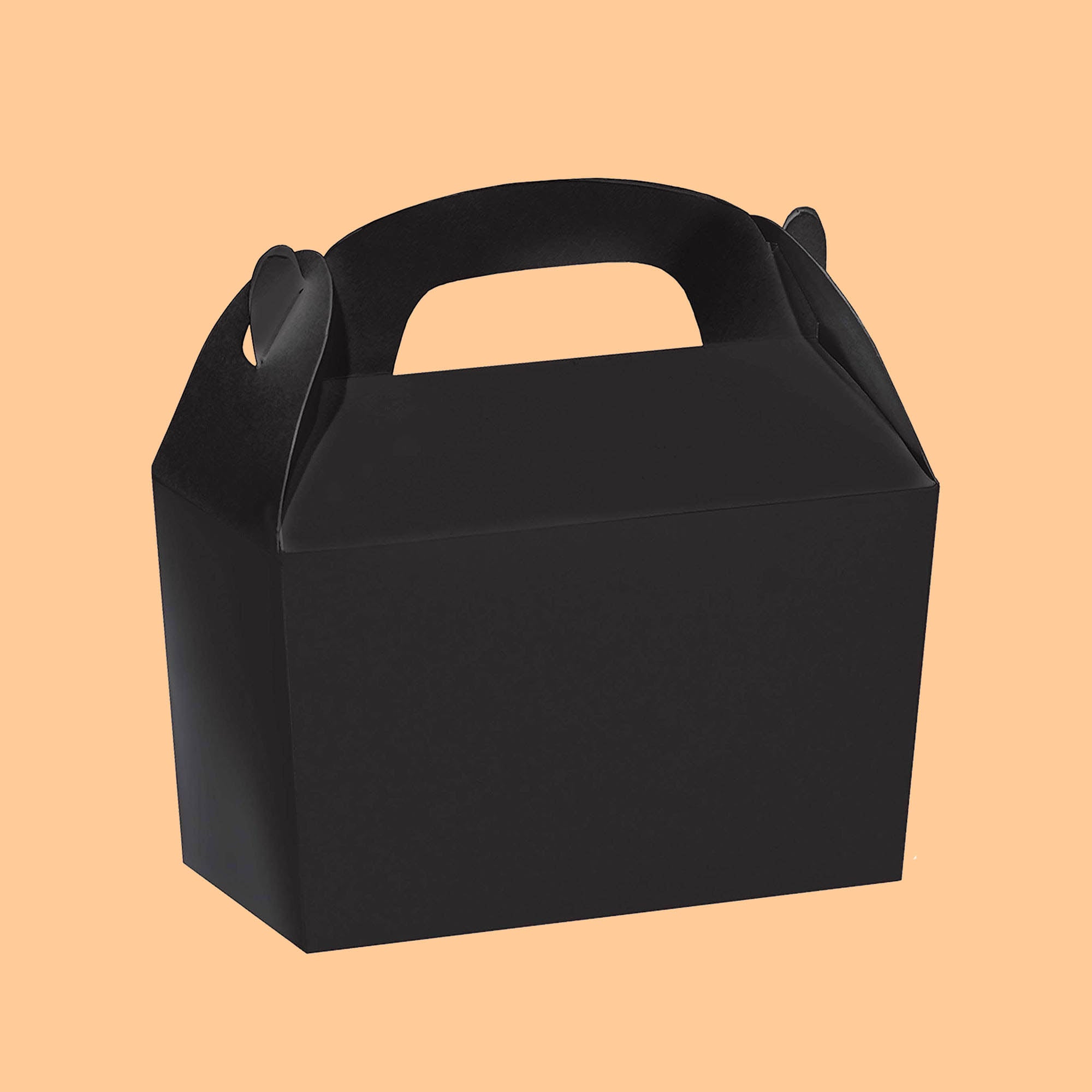 Party Boxes and Large Loot Bags