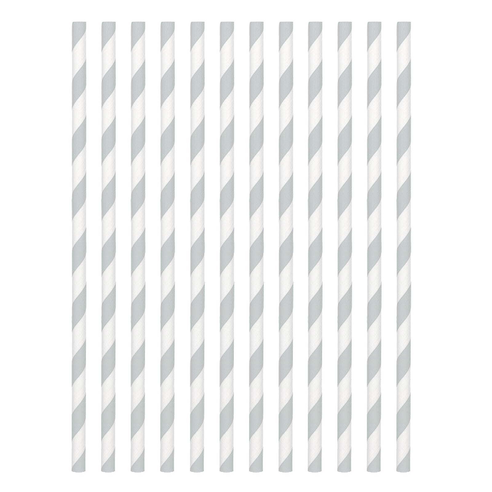 Silver Paper Straws 24pcs