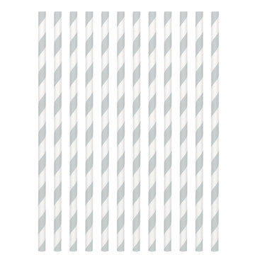 Silver Paper Straws 24pcs