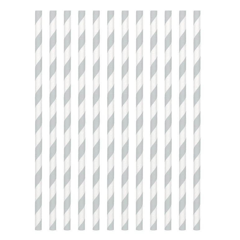 Silver Paper Straws 24pcs
