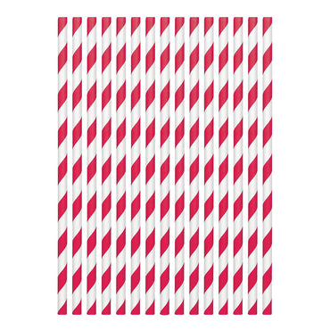 Apple Red Paper Straw 24pcs