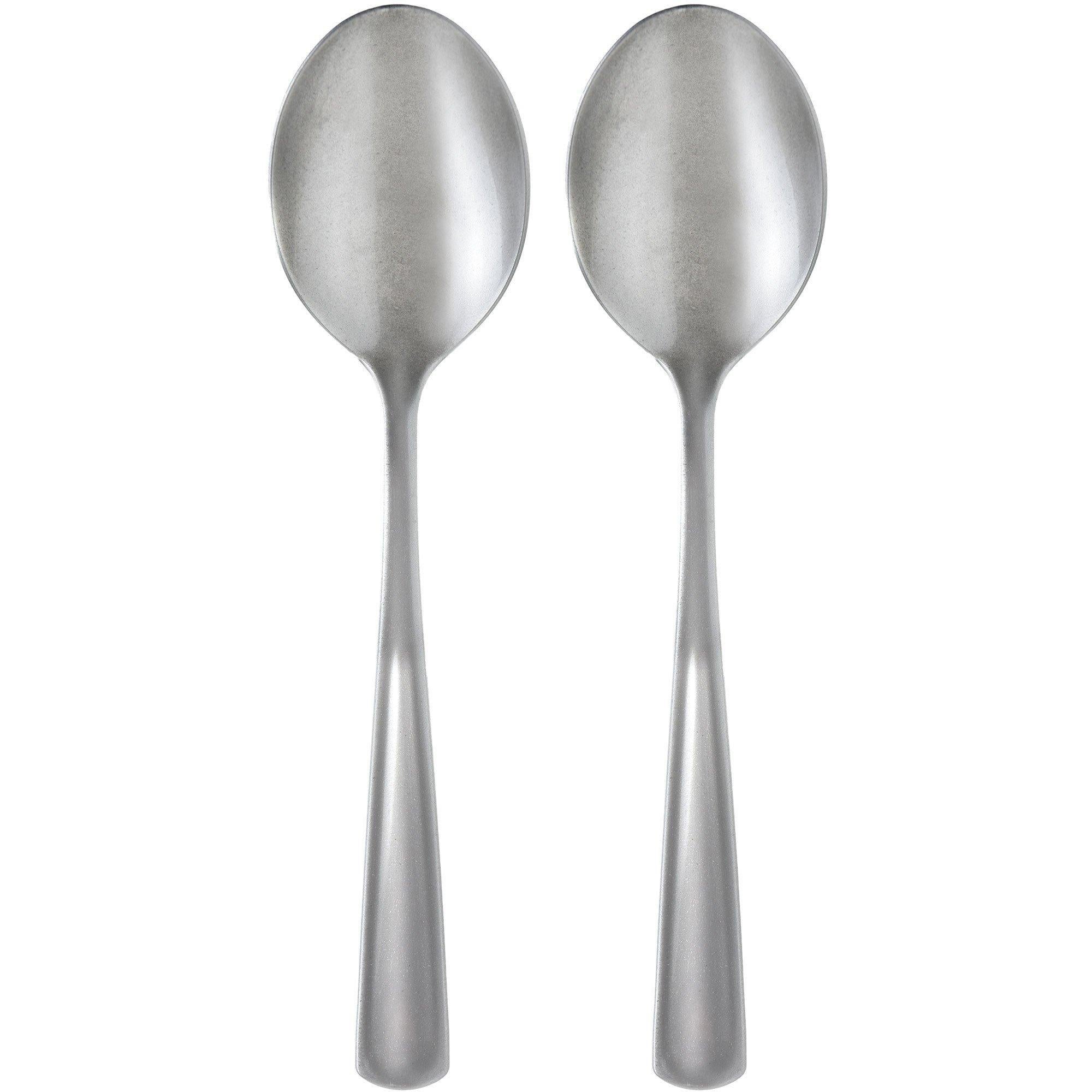 Silver Plastic Serving Spoon 9.75in 2pcs