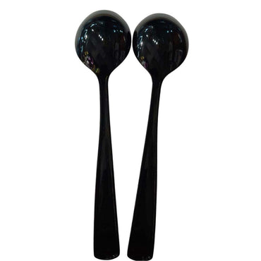 Jet Black Packaged Plastic Serving Spoons 2pcs
