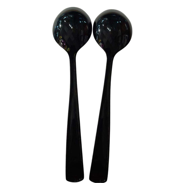 Jet Black Packaged Plastic Serving Spoons 2pcs