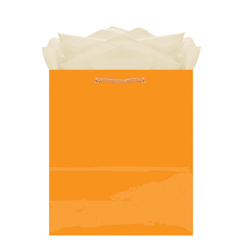 Orange Peel Medium Glossy Bag