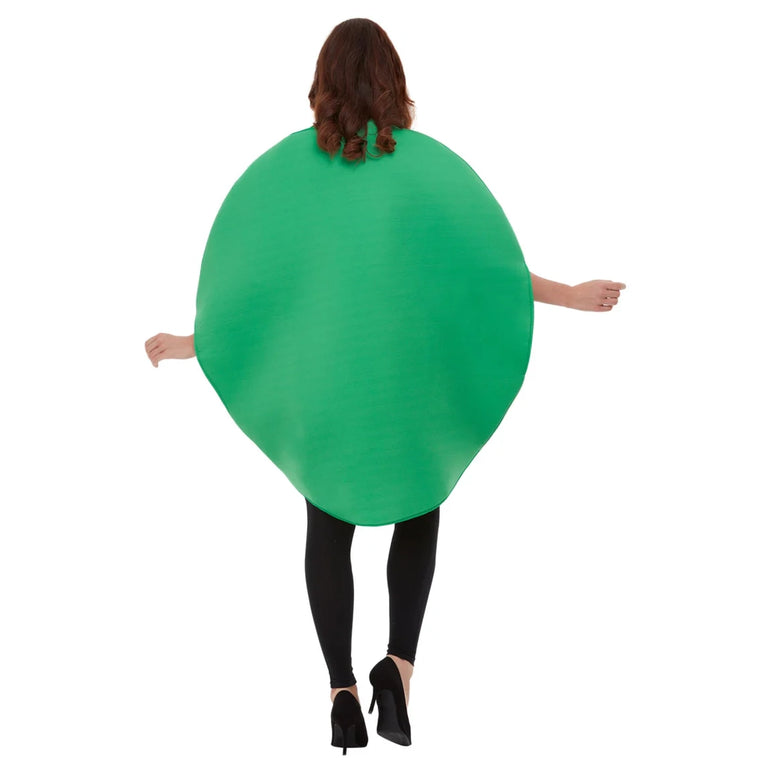 Adult Watermelon Fruit Dress-Up Costume