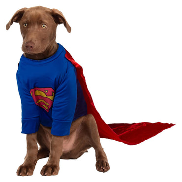 Pet DC Comic Superman Dog Costume