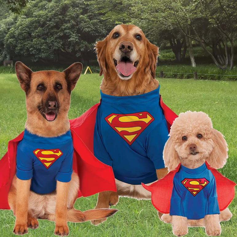 Pet DC Comic Superman Dog Costume
