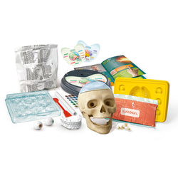 Clementoni Crazy Anatomy Toy