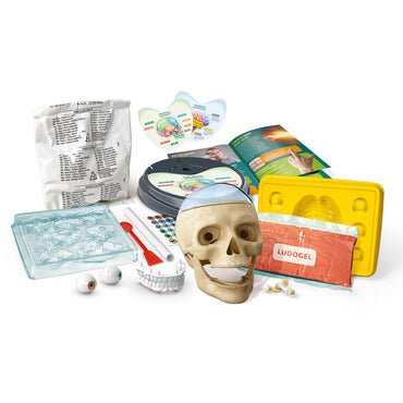 Clementoni Crazy Anatomy Toy