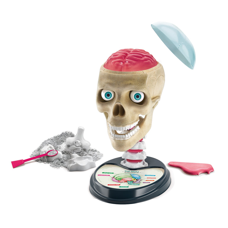 Clementoni Crazy Anatomy Toy