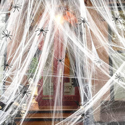 Spider Webs Big Pack 240g