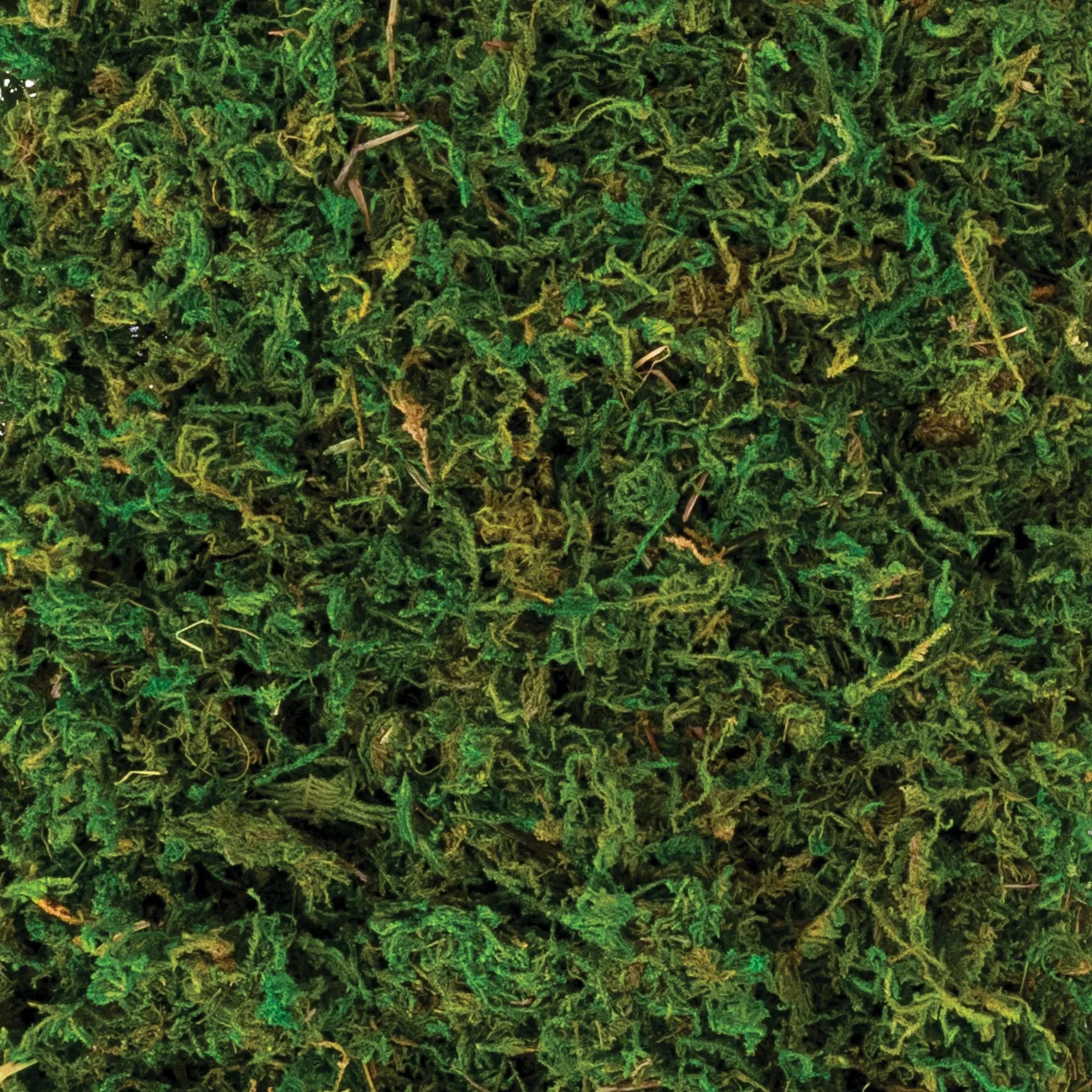 Natural Green Moss 4.2oz 1pc