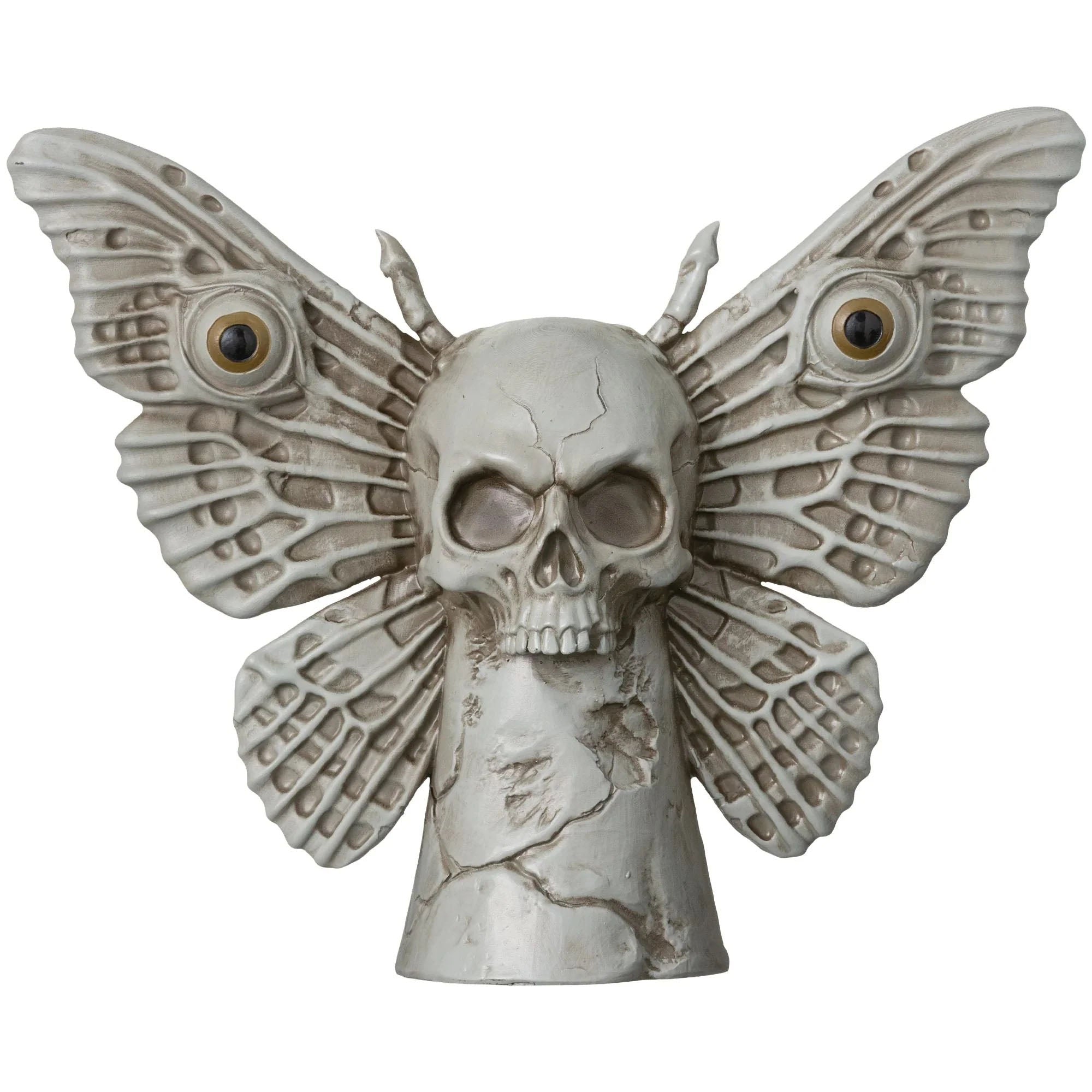 Dark Academia Moth Skull Statue 10in x 12.5in