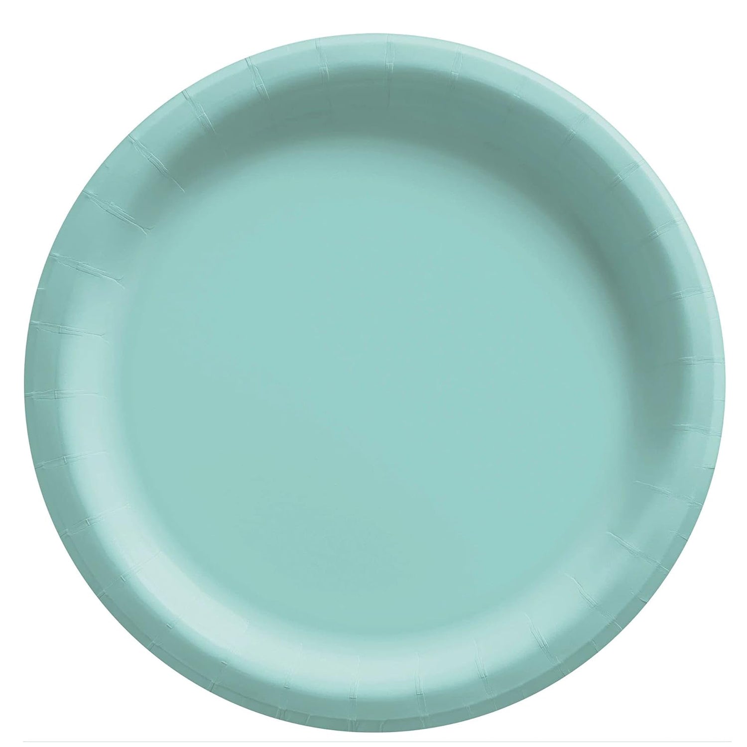 Robins Egg Blue Round Paper Plates 10in 20pcs