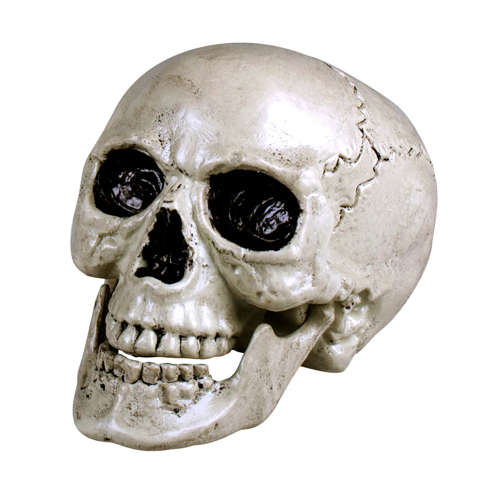 Maxilla Skull with Movable Jaw Decoration