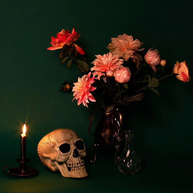 Maxilla Skull with Movable Jaw Decoration