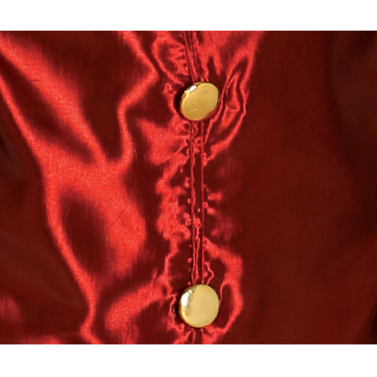 Child Dracula Costume